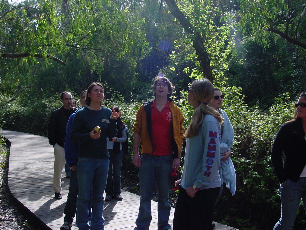 DSC00010.jpg