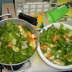 DSC01041.jpg