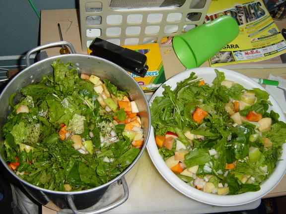 DSC01041.jpg