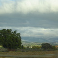 DSC00550.jpg