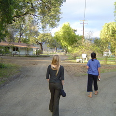 DSC00556.jpg