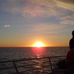 DSC00623.jpg