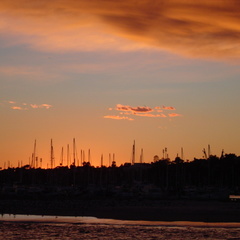 DSC00643.jpg