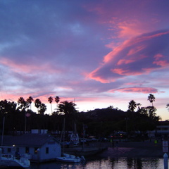 DSC00652.jpg