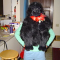 DSC00494.jpg