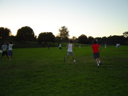 DSC00529.jpg