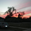 DSCN2178