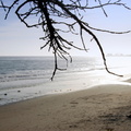 DSC_0539.JPG