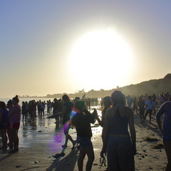 IMG 0531