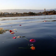 P5282090
