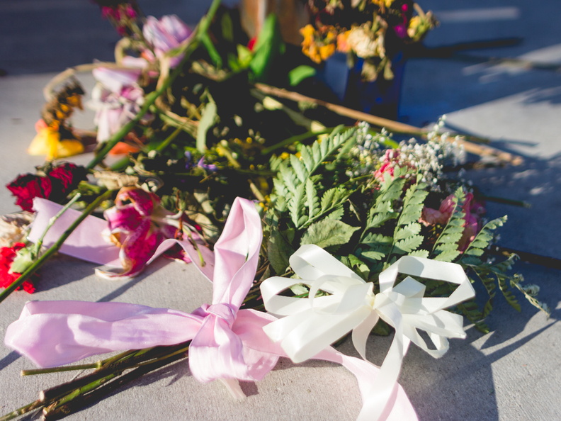 flowers531