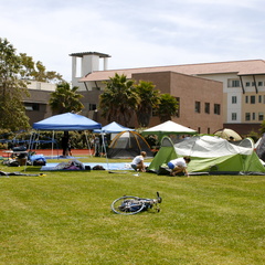 _MG_4490.JPG