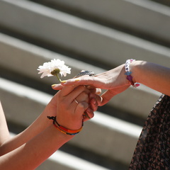 _MG_4379.JPG