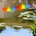 _MG_7698.jpg