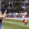 X19-55.jpg