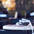 X19-239.jpg